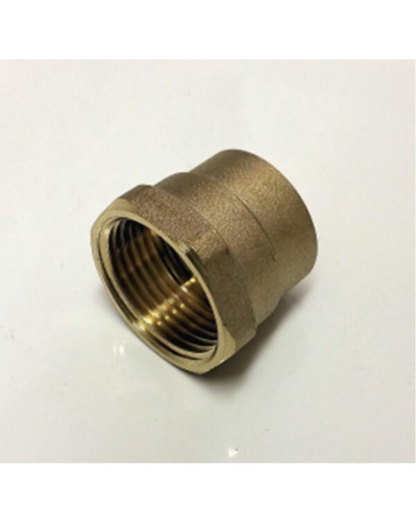 Capil Fl adaptor 22mm